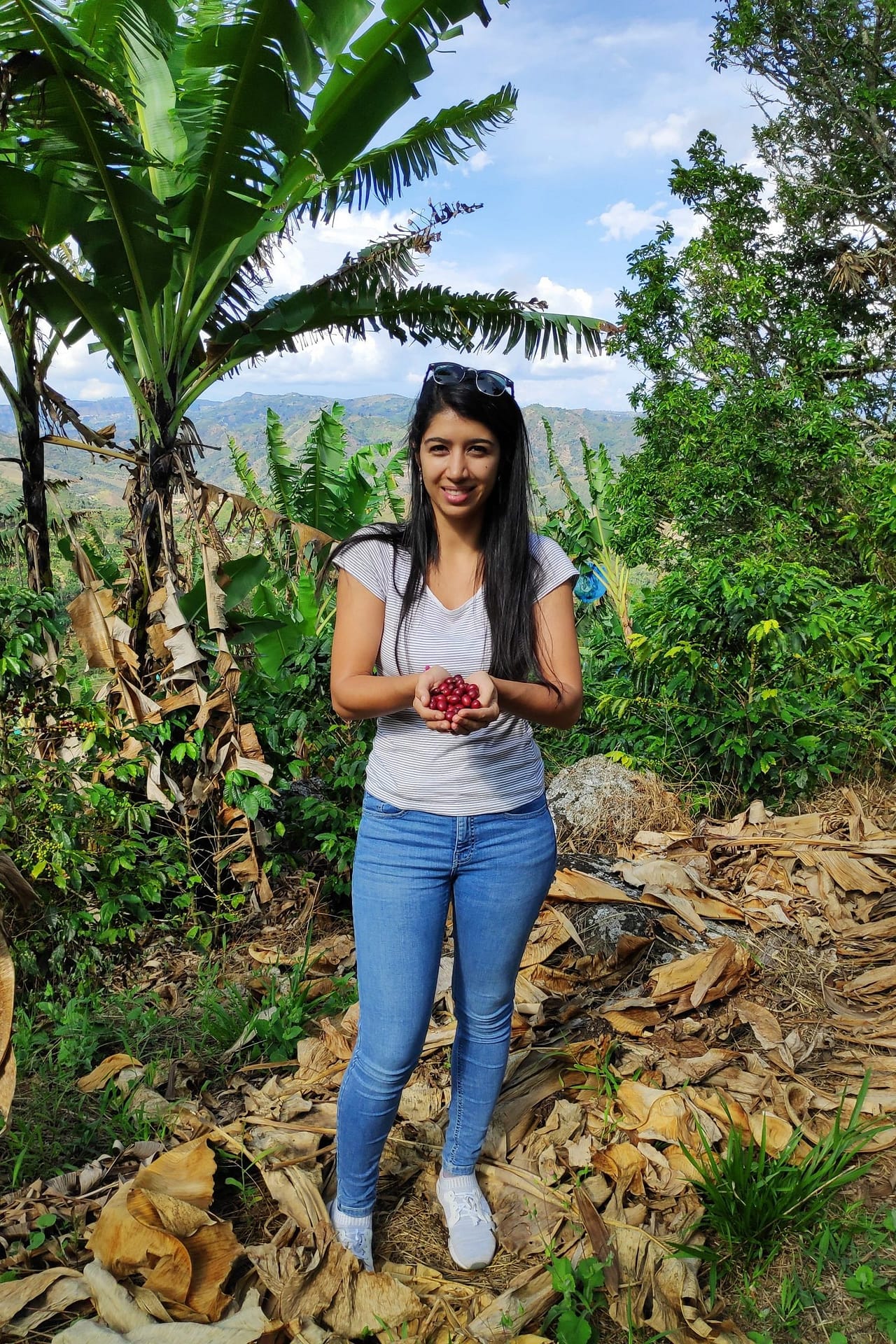 Natalia Zuluaga - Finca El Caney