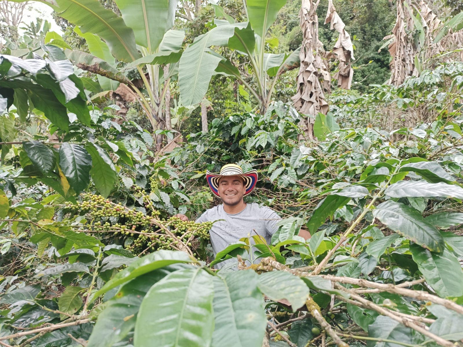 Julio Bastidas - Producer