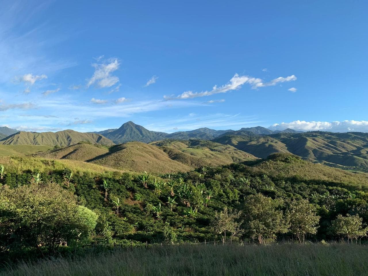 Tulameen, Finca La Dulzura, Nariño, Colombia
